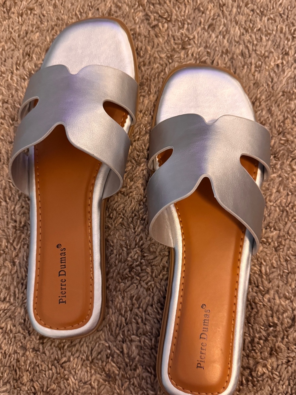 Pierre Dumas Metallic Silver Slide Sandals for Women